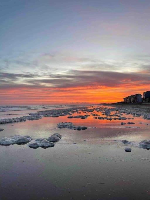 Face A La Mer, Appartement Rdc Bray Dunes Εξωτερικό φωτογραφία