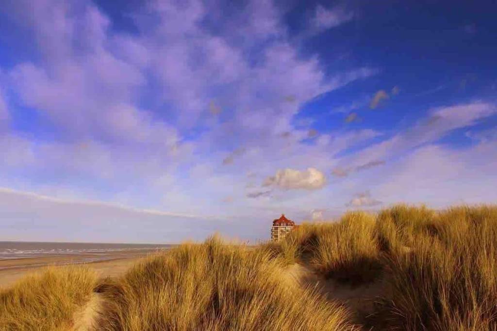 Face A La Mer, Appartement Rdc Bray Dunes Εξωτερικό φωτογραφία